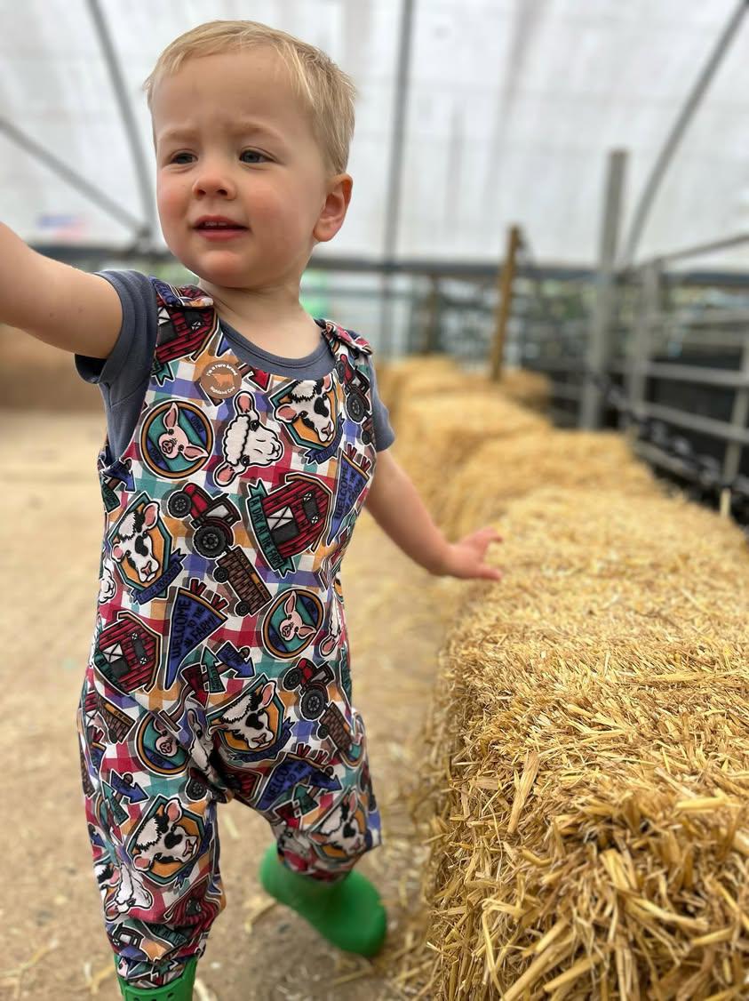 Overall Dungas